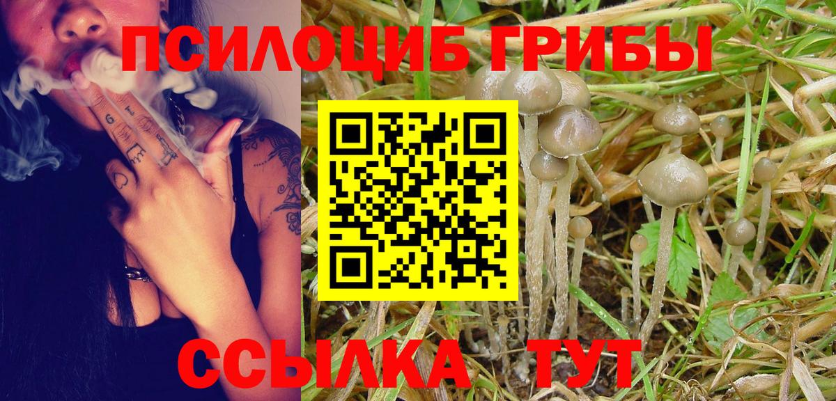 Псилоцибиновые грибы Cubensis Нижневартовск